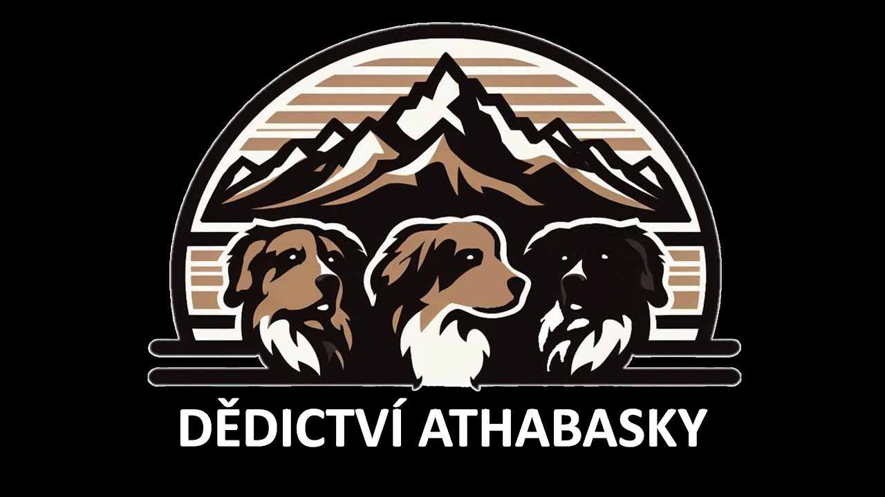 Gladiator race - Pevnost Terezín 2025 - Český horský pes