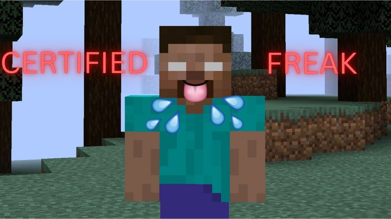 WHAT is this MOD PACK...