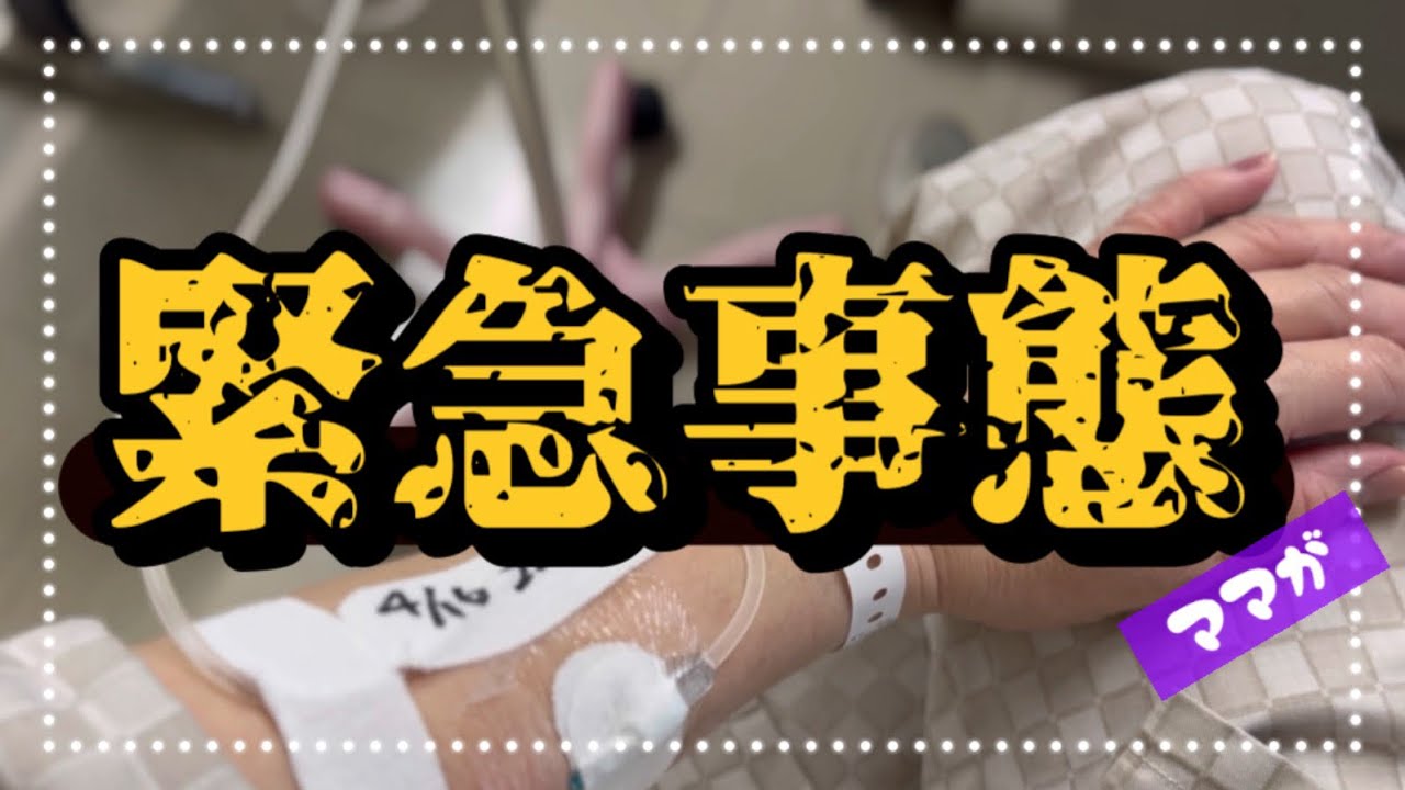 大変、大変‼️ママが、ママが‼️