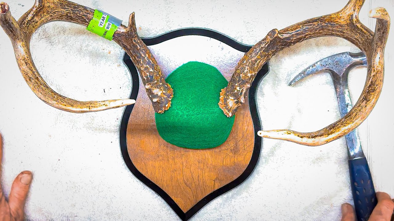 Make an ANTLER PLAQUE IN 10 MINUTES!