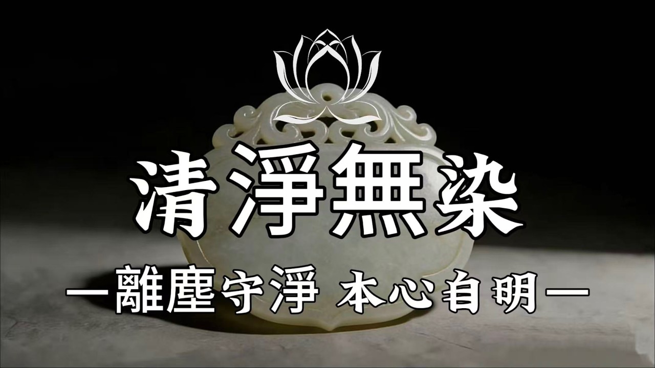 【建議收藏】獨處非孤，是因果贈我的清淨修行，心向蓮開，自與天地同頻。#修行 #國學 #人生感悟 #治癒