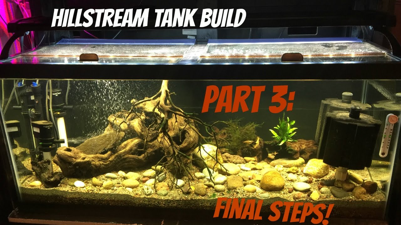 Hillstream Tank Build - Part 3: Final Steps!