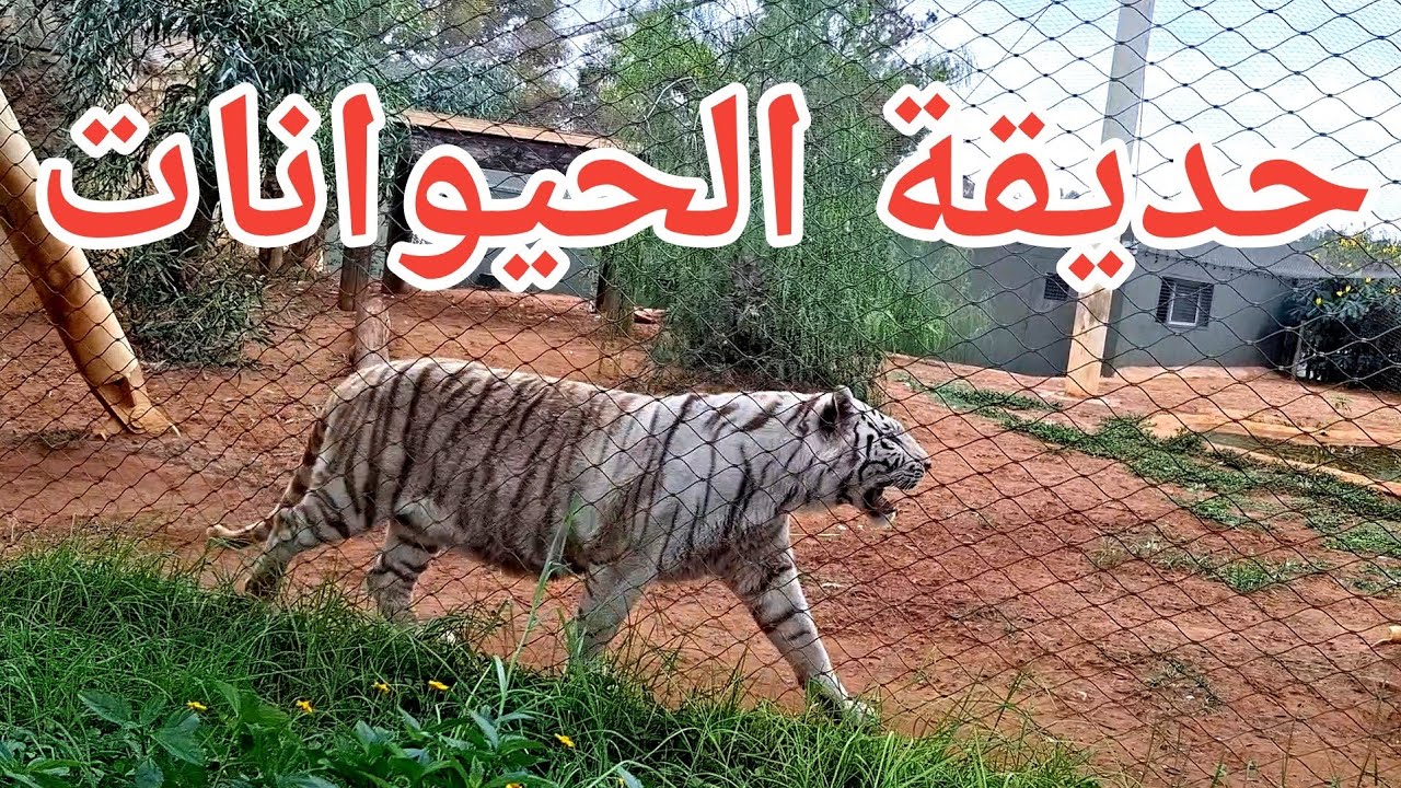 Zoo Rabat Maroc - حديقة الحيوانات الرباط المغرب