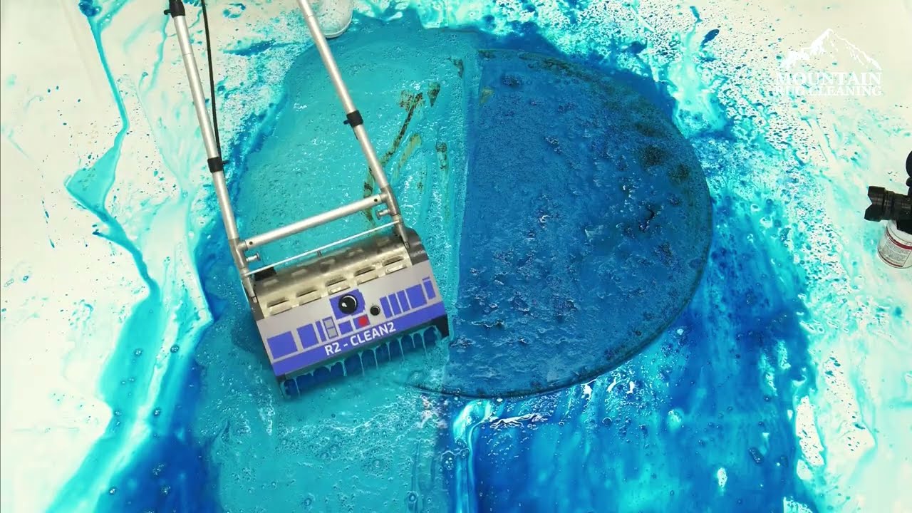 FILTHY Rug + Maggots = Extreme Disinfection Clean. Satisfying ASMR Carpet Cleaning.