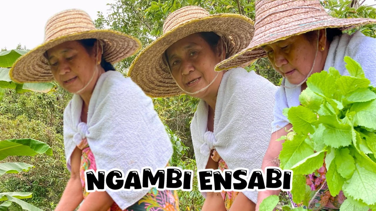 NGAMBI ENSABI BA MINI KEBUN INDAI ELEK...