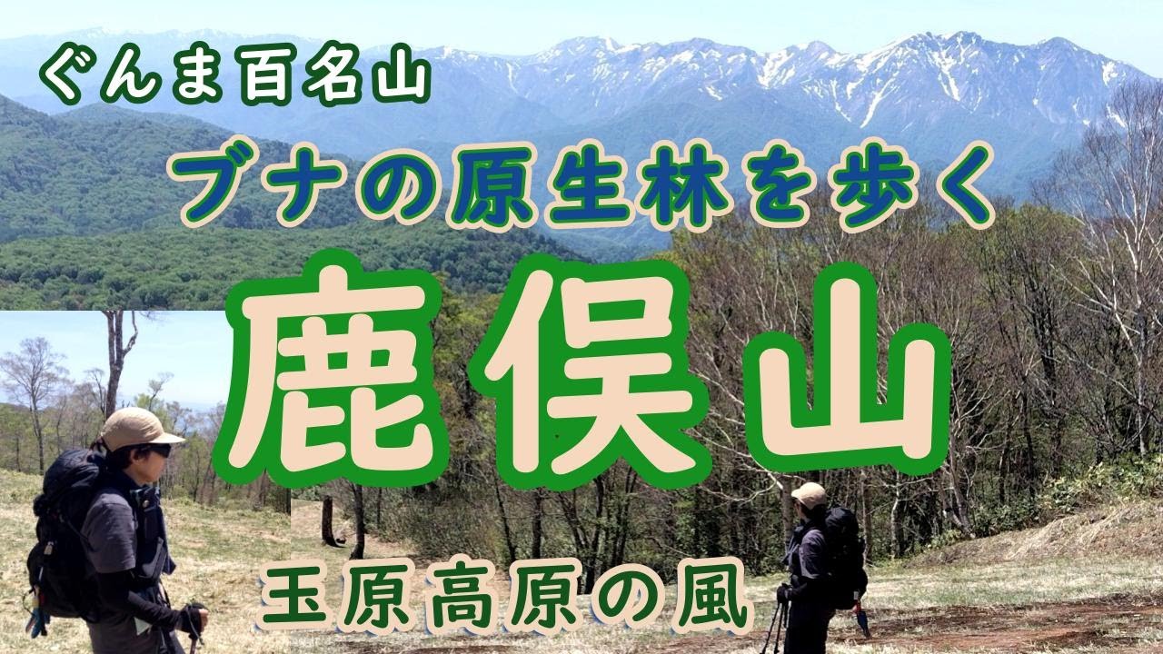 ブナの原生林を歩く・群馬百名山・鹿俣山【玉原高原】登山