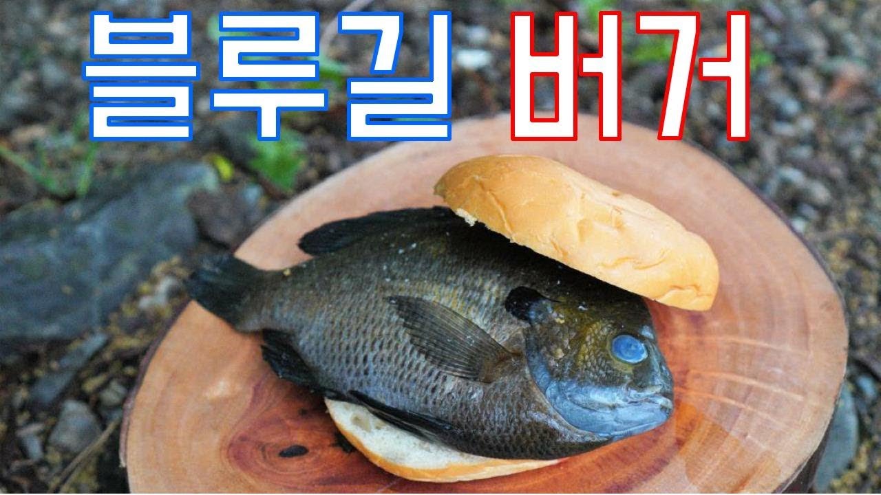 '블루길' 펜 낚시대로 잡아서 '블루길 버거' 해먹기 [Catch and cook bluegill]