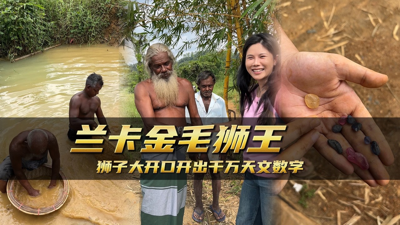 蘭卡金毛獅王獅子大開口開出千萬天文數字｜彩礦一鳴珠寶｜一鳴珠寶｜Srilanka GemKing｜SapphireSource ｜