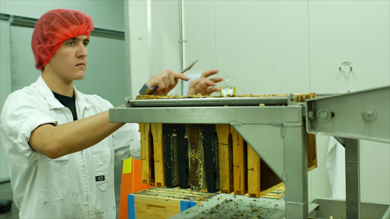 ANZ Business: Midlands Apiaries