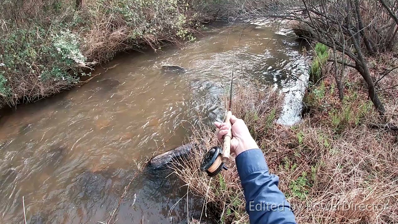 fly fishing pilgrims rest