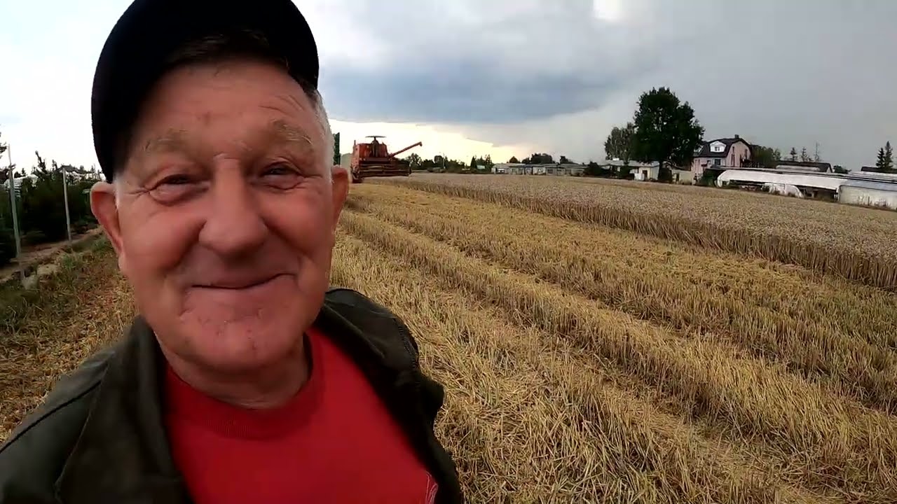 Kazimierz szczęśliwie pechowo wyrusza Ursusem 902 po pszenice