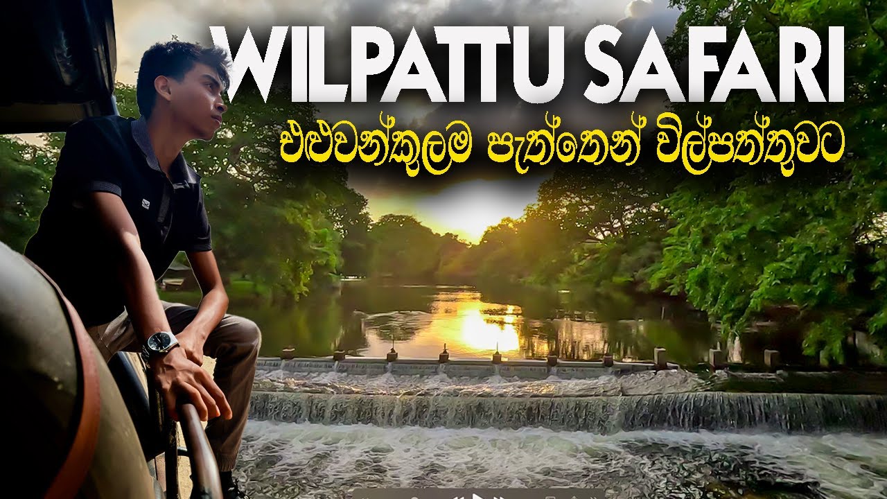 Wilpattu Safari Sri Lanka 🇱🇰 – Complete Guide from Eluwankulama Entrance