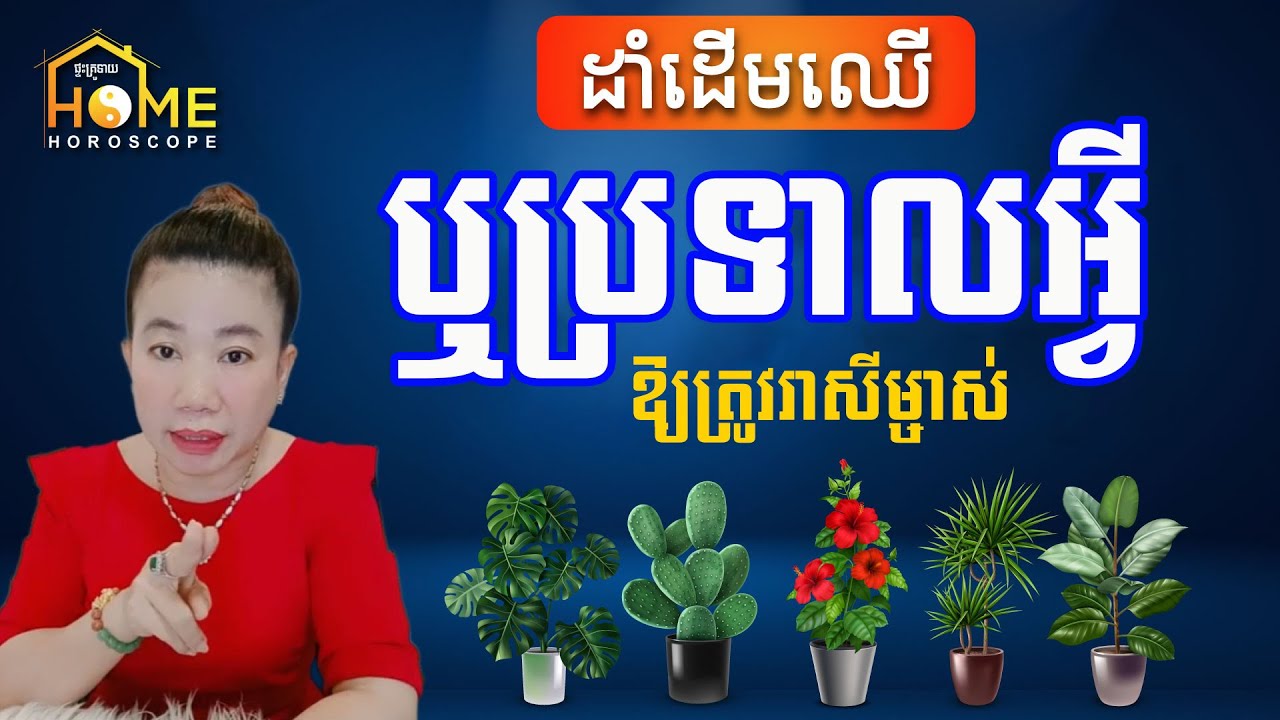 របៀបដាំដើមឈើ ផ្កា ឬប្រទាលអ្វី ឲ្យត្រូវតាមរាសីម្ចាស់ ដើម្បីនាំលាភ នាំជ័យចូលផ្ទះ