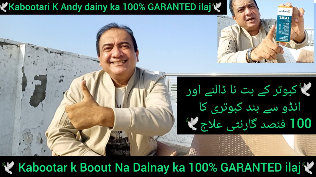 Kabootar k Boot Na Dalnay ka ilaj | kabootari k Andy Na dainy Ka ilaj | GARANTED 100% ilaj | pigeon