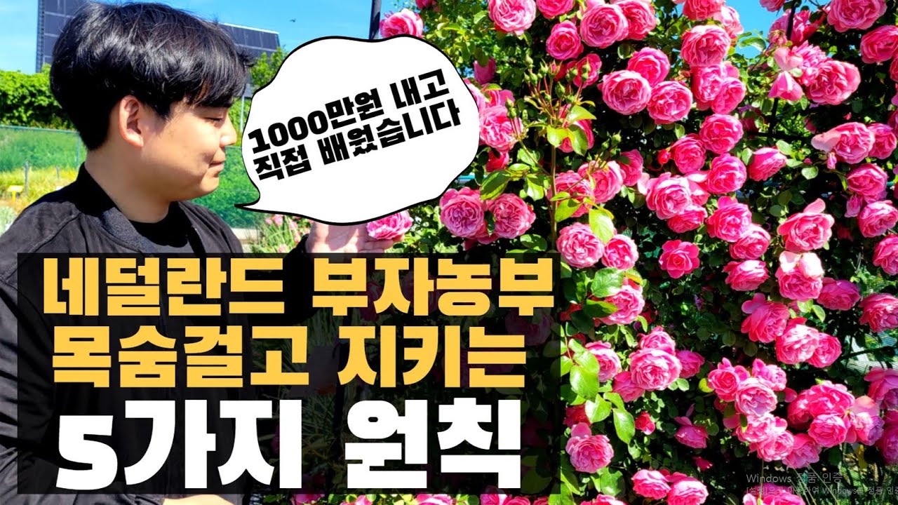 네덜란드 부자 농부에게 직접 배운 5가지 비밀