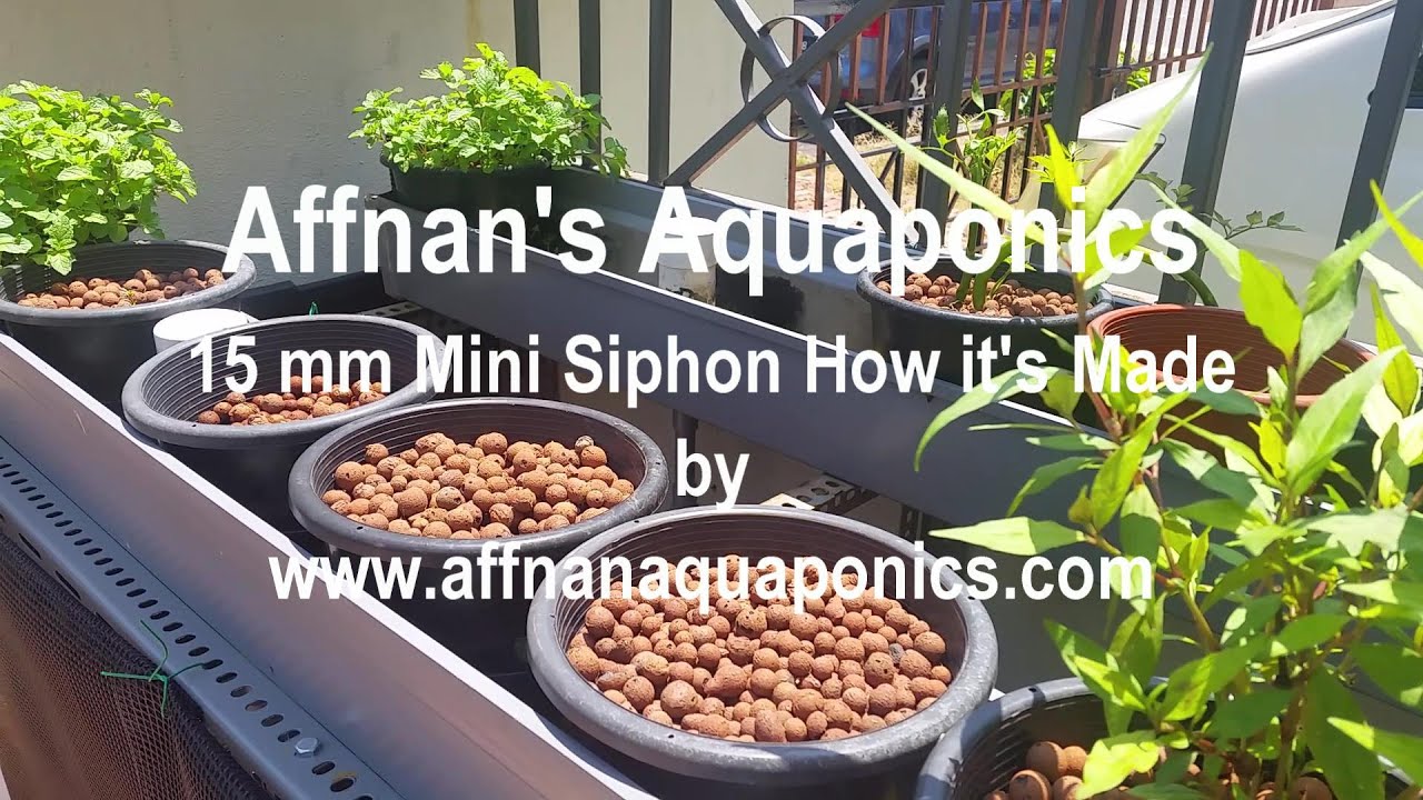 Basic Aquaponics - How it's Made - 15 mm Mini Siphon
