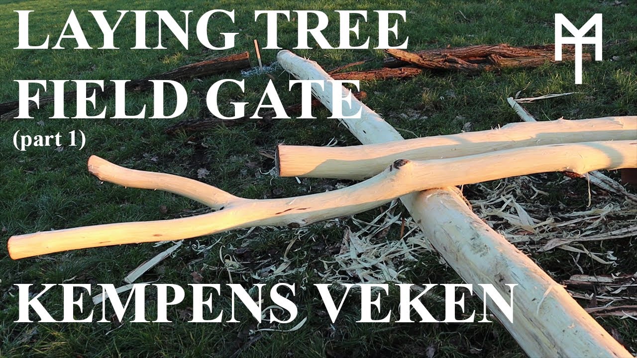 Making a field gate with a complete laying tree - Kempens Veken Part 1