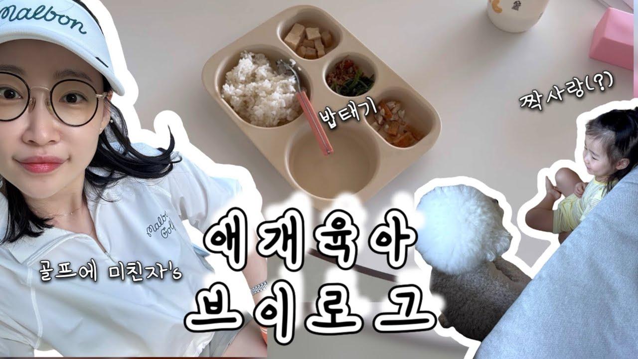 육아 브이로그 + 40대맘 취미생활 &bull; 필드 또 나감 &bull; 쇼핑을 글쎄 &bull; 장보기 &bull; 강아지를 짝사랑하는 31개월 아기가 있는 집 일상 vlog