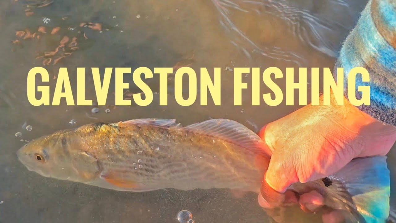Galveston Fishing (Discovered a NEW Fishing Spot!)