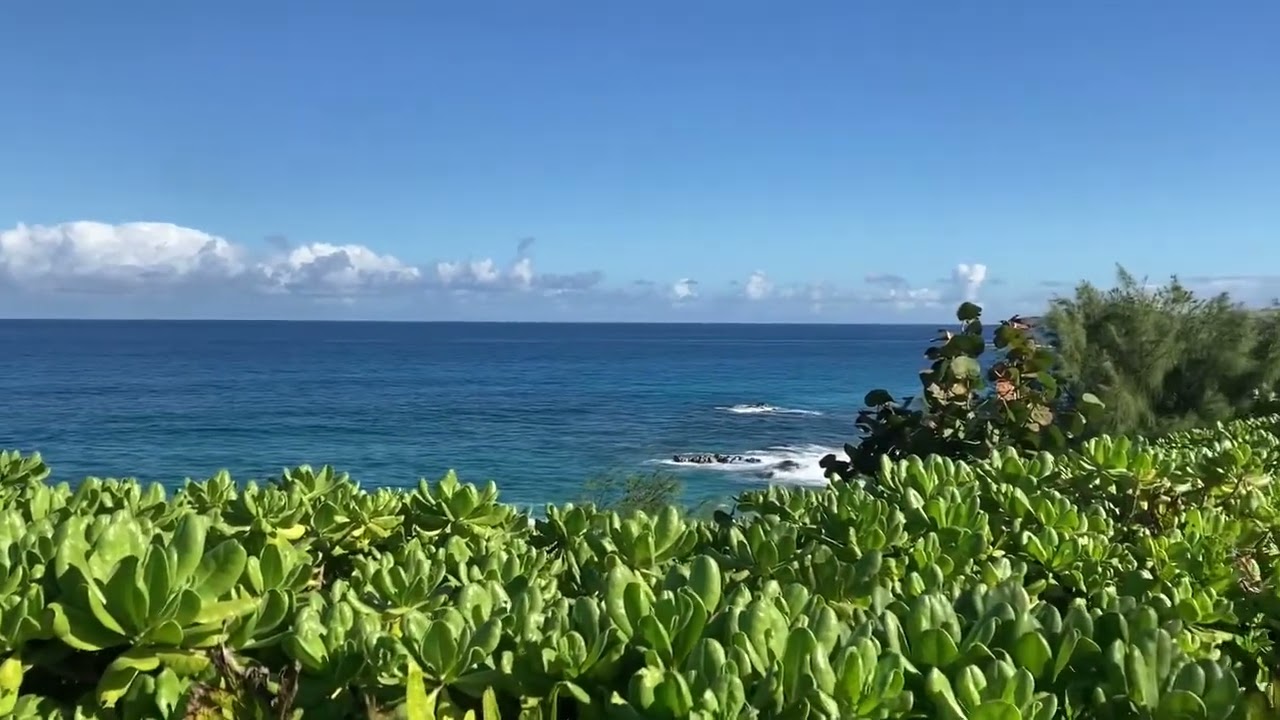 Ocean Energy. Maui Wowy.