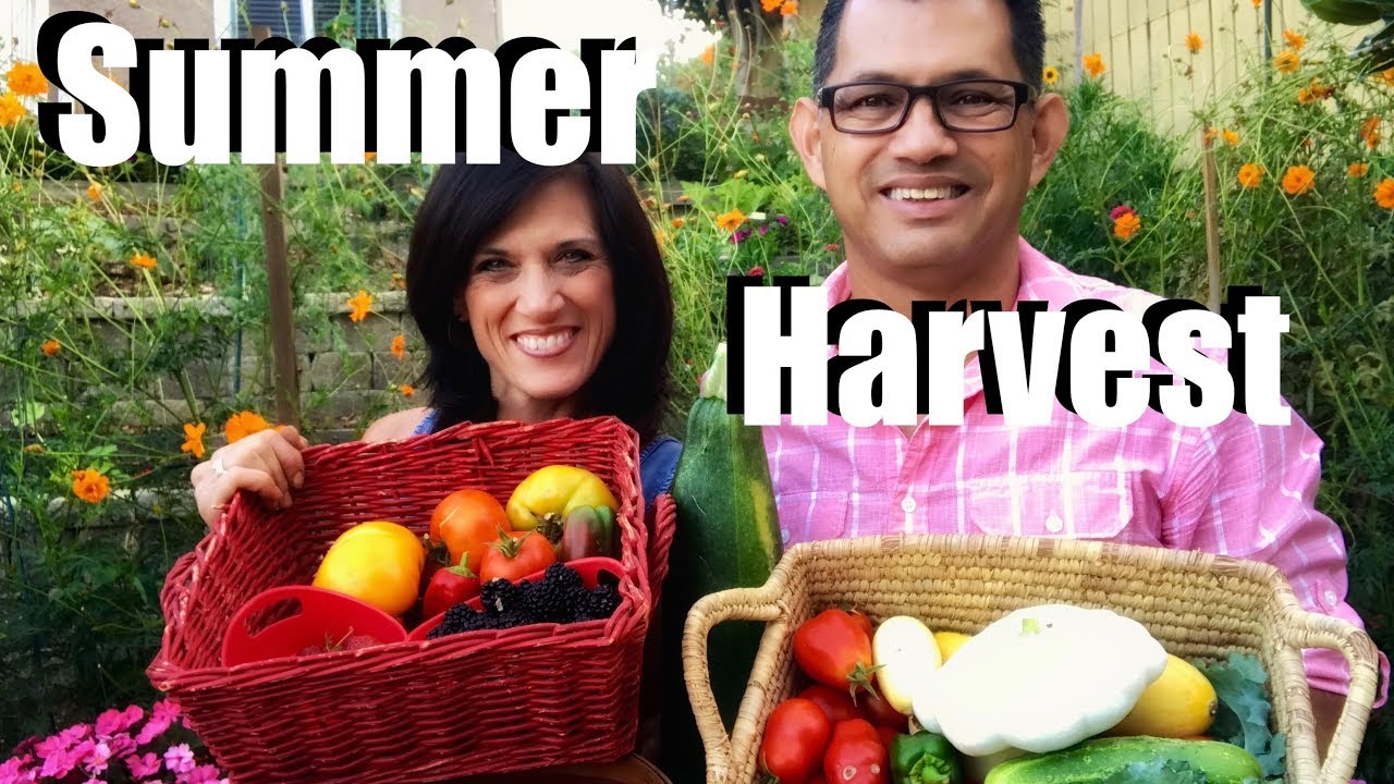 Organic Garden Summer Harvest - Let's Get Dinner!