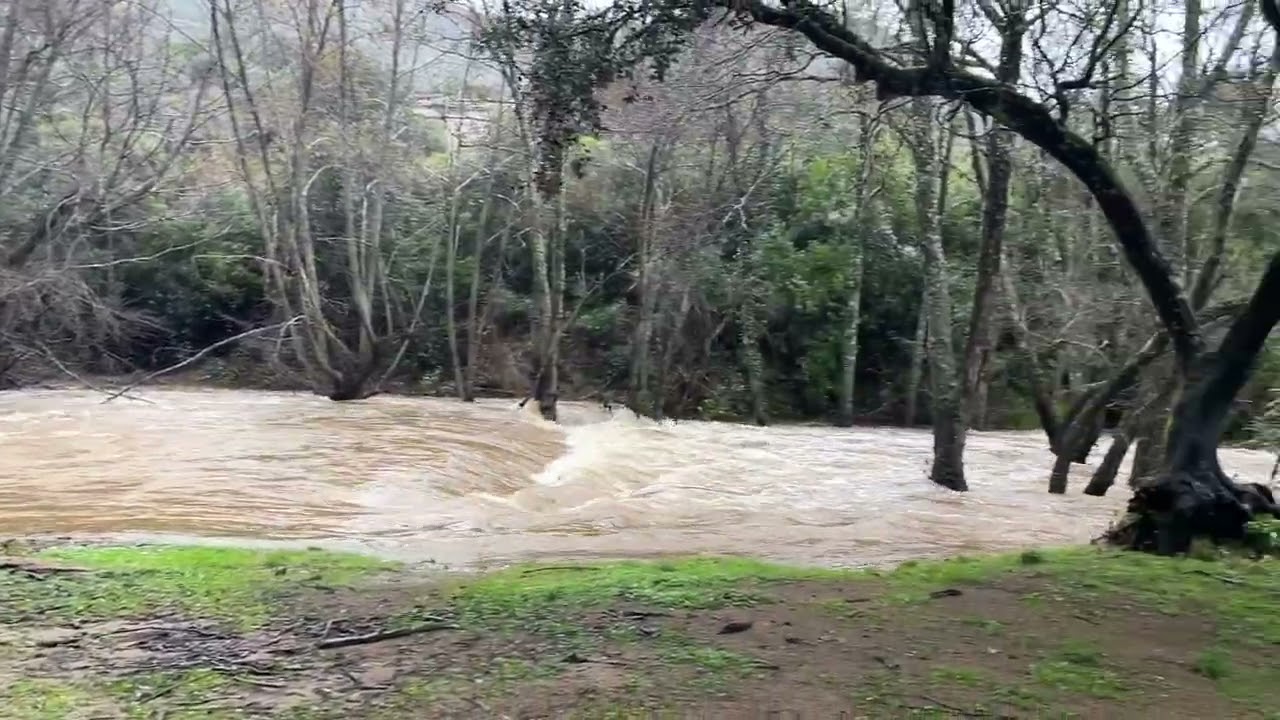 Ruta pantanos y ríos  Enero 2026