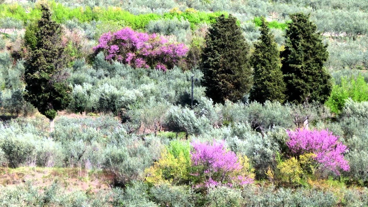 UMBRIA - TREKKING  SPELLO - COLLEPINO [full HD]