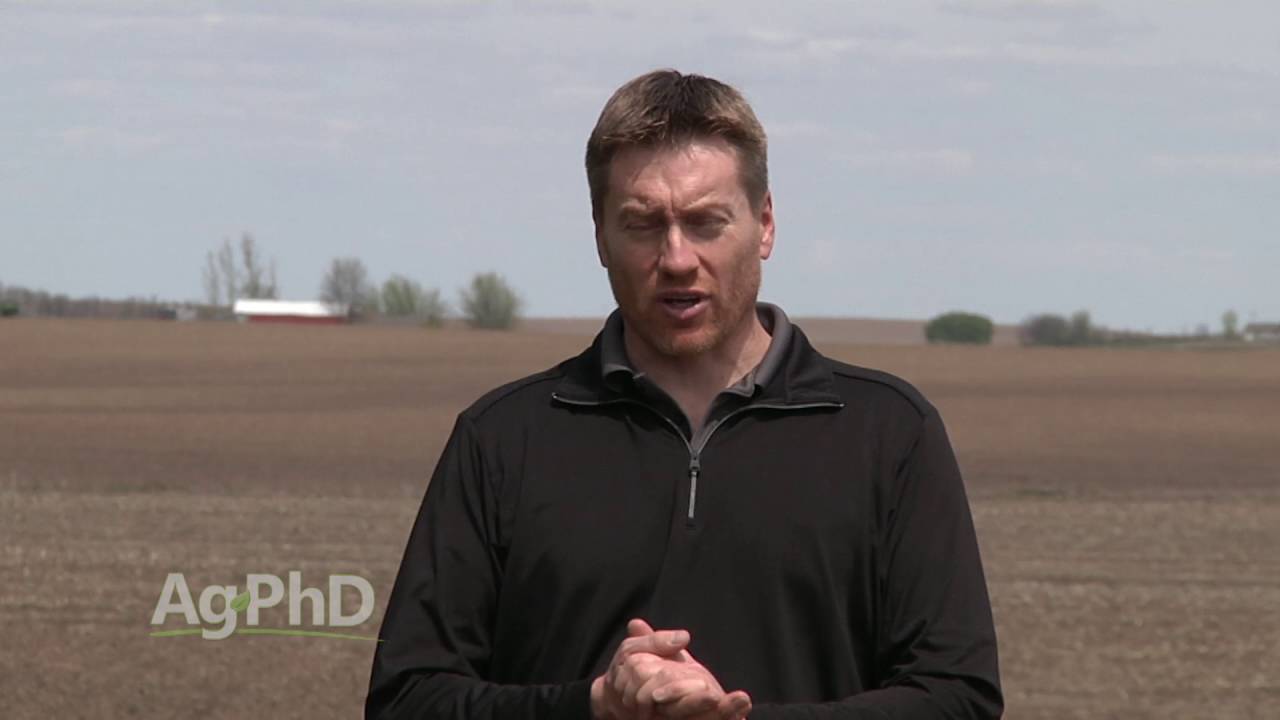 Flag Leaf Wheat Fungicides #946 (Air Date 5-22-16)