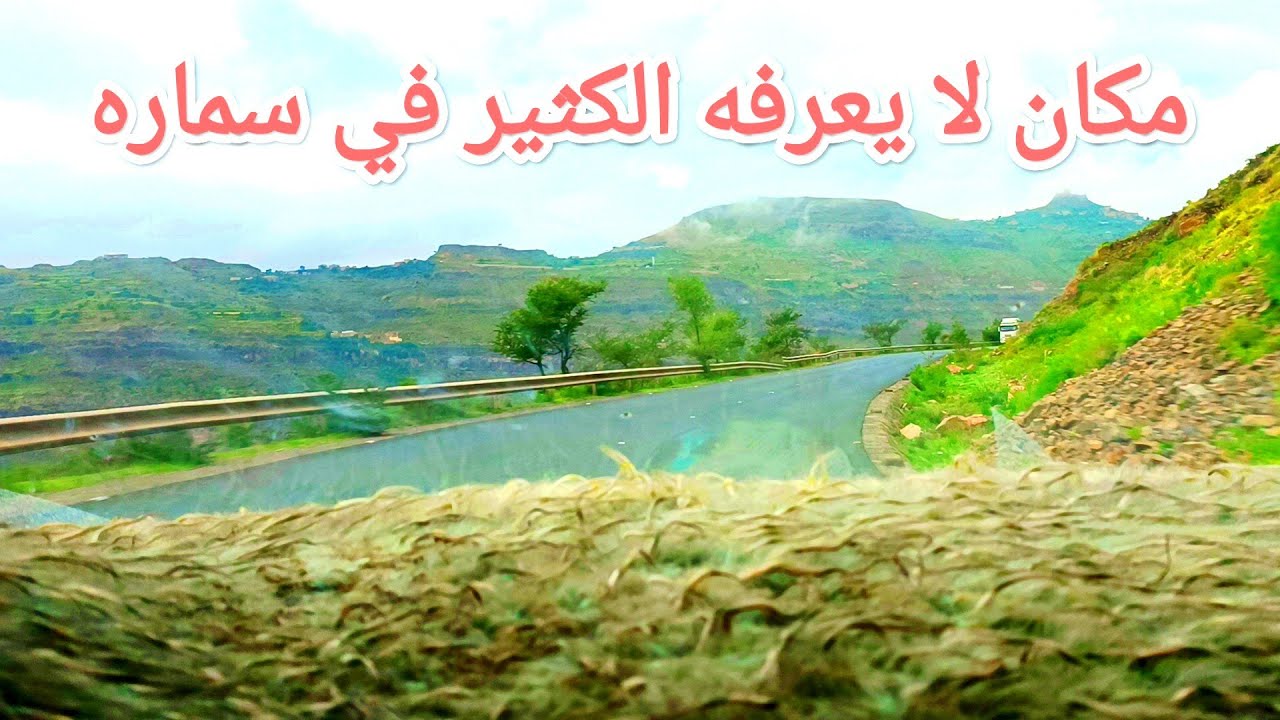 خط _من نقيل _سماره_ الا_ مدينة_ الدليل_ علا _صوت_ الفنان_ حمود السمه 2024
