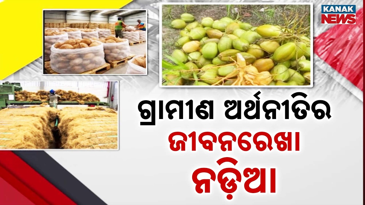 Odisha Farmers and Women Entrepreneurs Thrive Through Coconut-Based Businesses