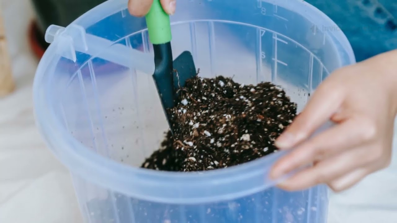 The Underground Airflow Trick That Eliminates Soil Compaction