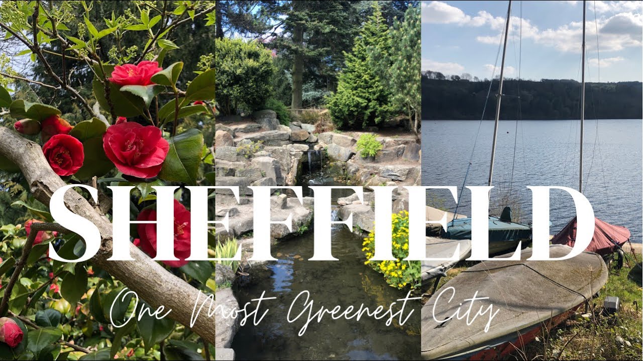 Sheffield One Most Greenest City in Europe | Nature Walks