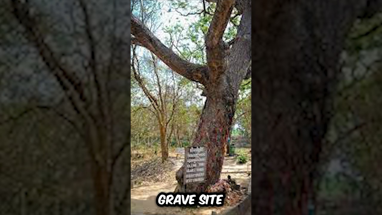 The Killing Tree