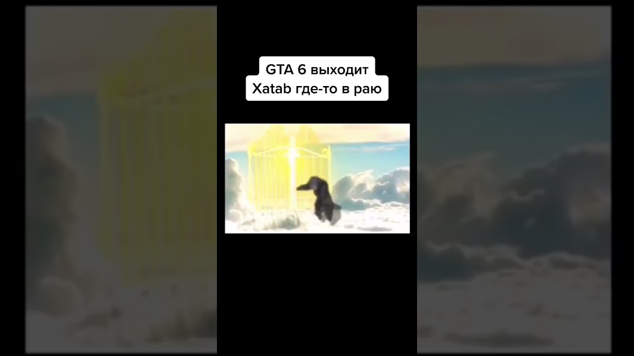 Подборка мемов 4ch tik-tok 