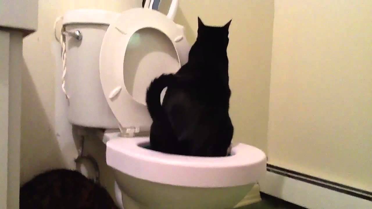 The Bathroom Trick