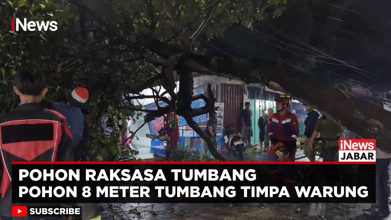 Hujan Deras, Pohon Nangka 8 Meter Tumbang Timpa Warung di Tangerang Selatan | iNews Jabar