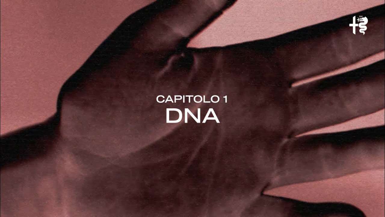 Alfa Romeo | INFRAROSSO | 01. DNA​