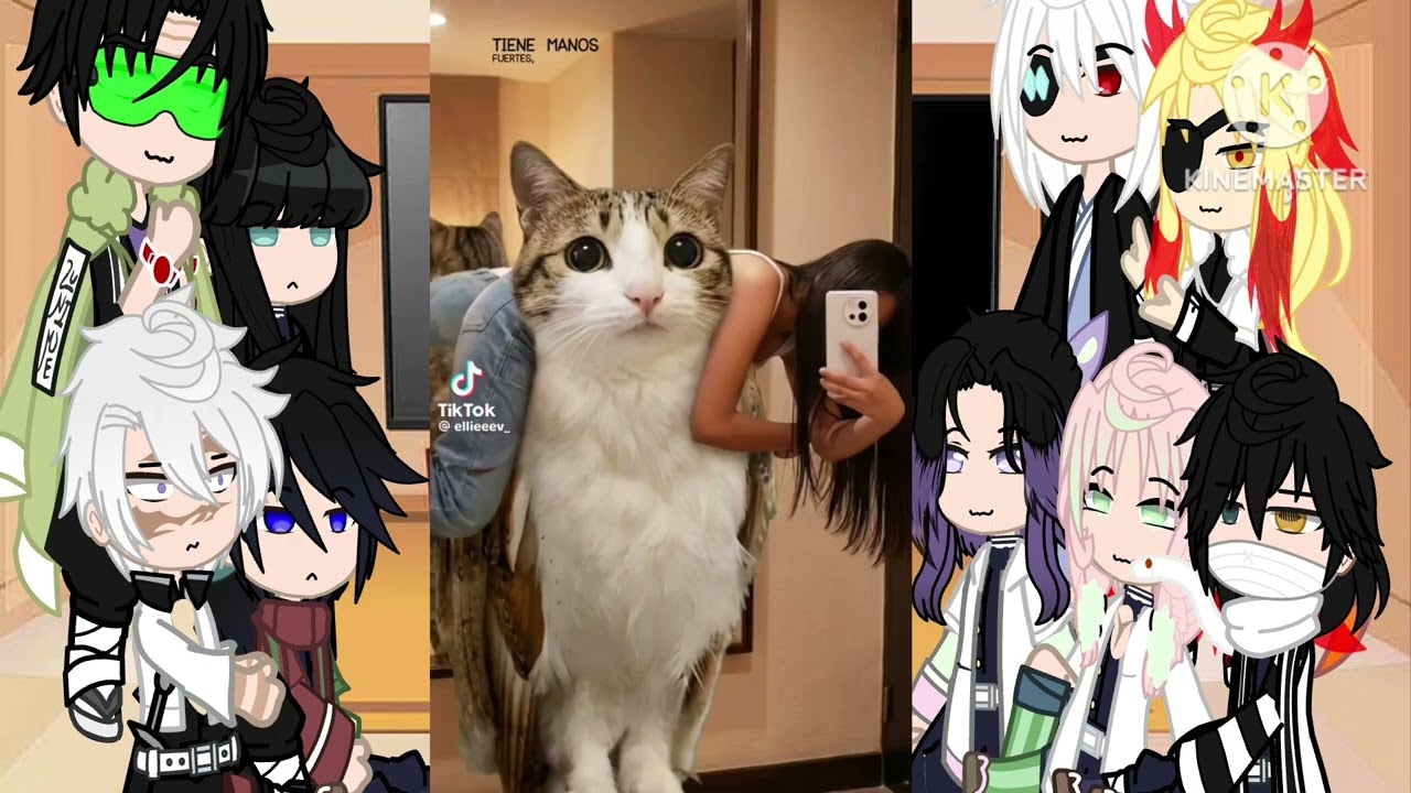 Hashiras reaccionan a mi fyp parte 26