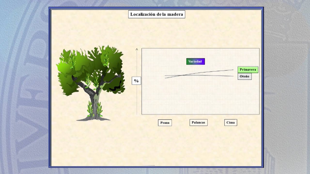 Arboricultura 7.3: Factores que influyen en enraizamiento de estaquillas semileñosas en nebulización