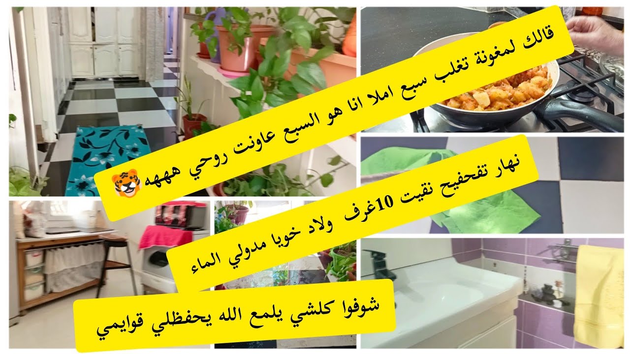روتين التنظيف التفحفيح ادخلوا تشوفوا داري وكوزينتي نضفت عشر غرف ولماء نكانش فطورنا  الشكشوكةنتاع امي