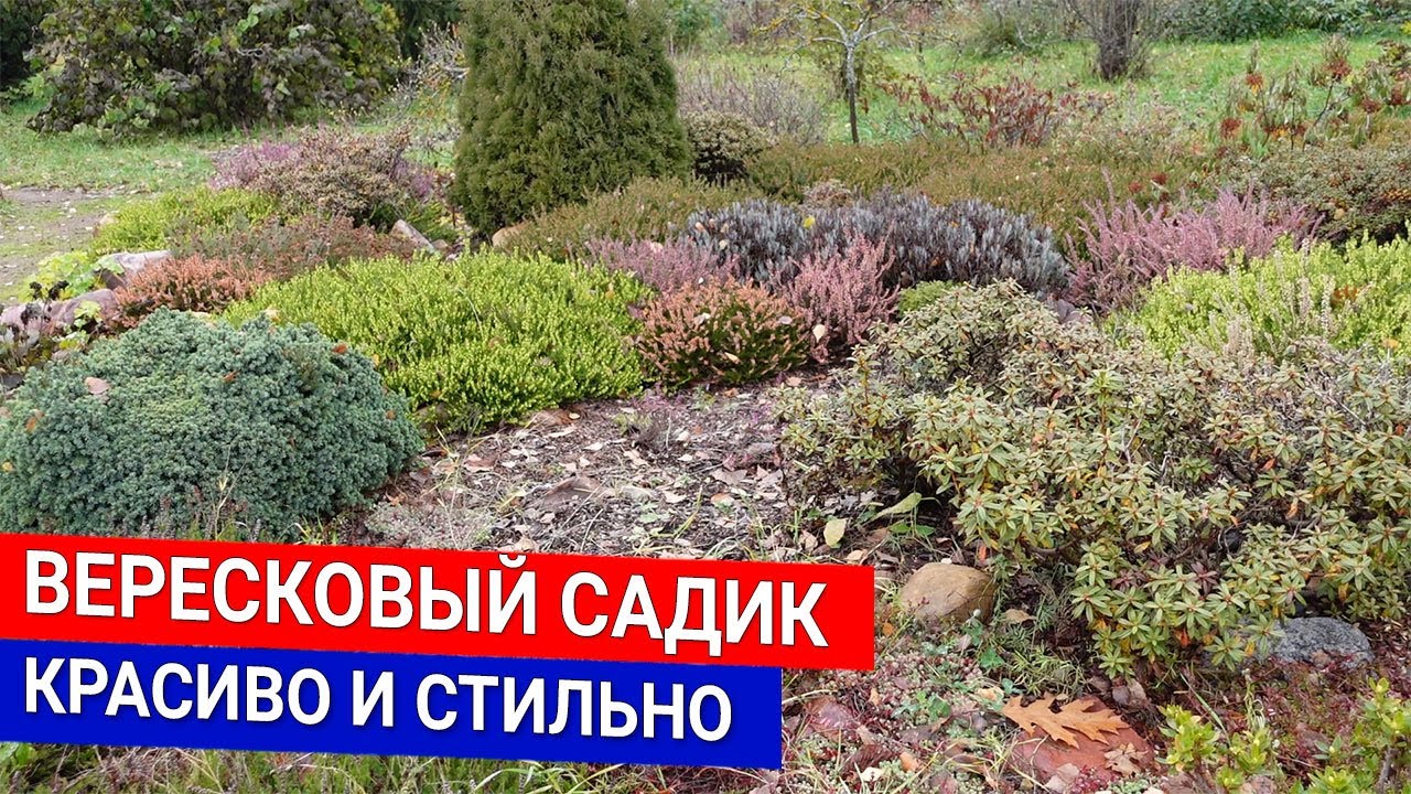 Вересковый садик - красиво и стильно