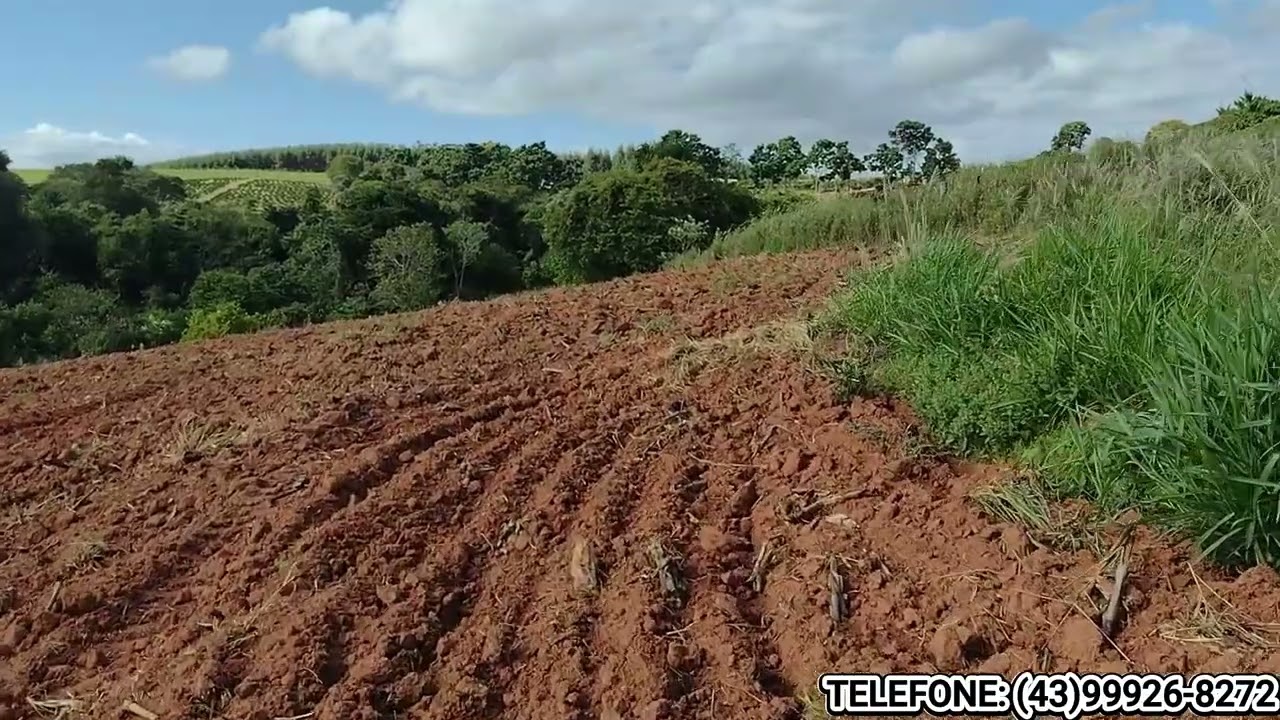 R$235.000 - CHÁCARA EM IBAITI-PR