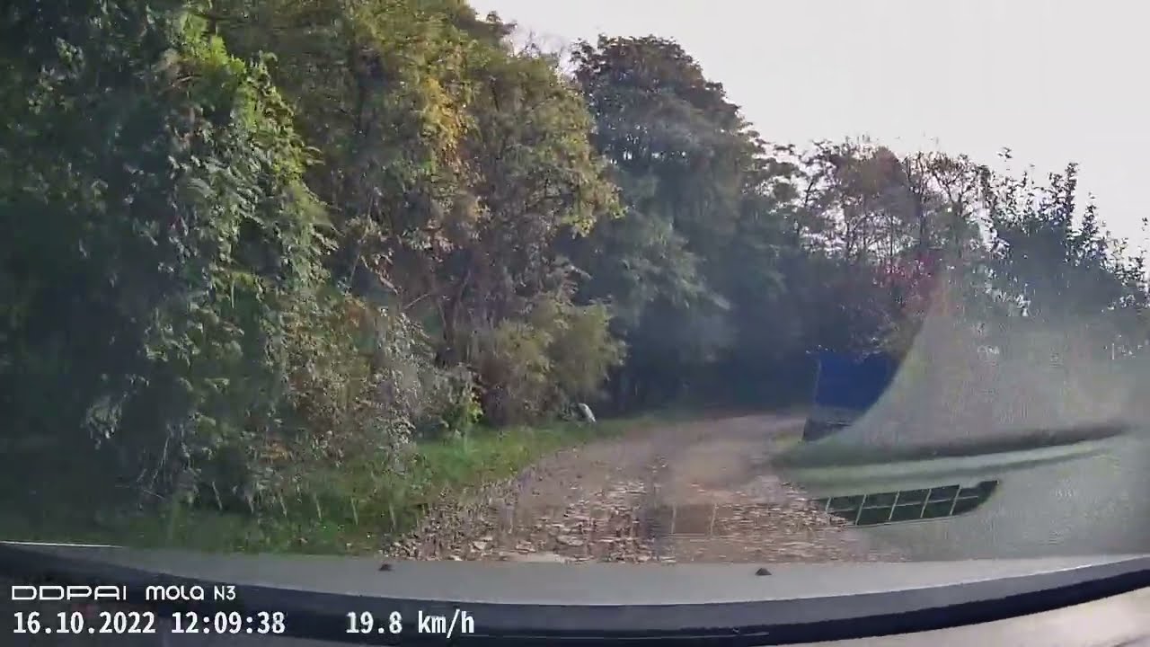 Valea Seșii sat Lupșa - Geamăna, drum auto.