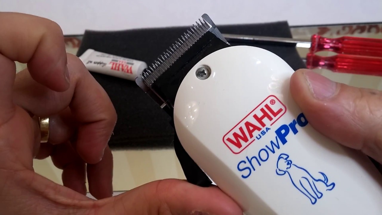 😾🐩 Substituindo Lâmina Máquina de Tosa Show Pro Wahl