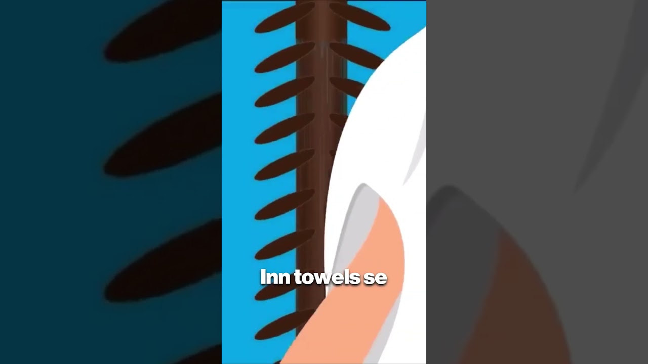 Never dry your hair like this 😨Why you shouldn&rsquo;t towel dry your hair | #shorts