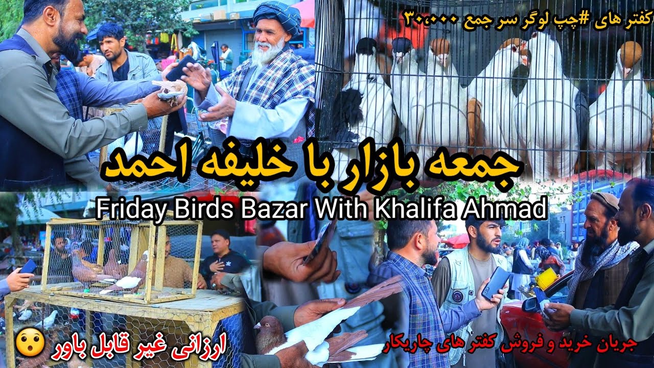 جمعه بازار با خلیفه احمد/ طریقه تداوی کفتر کله گنسگ | قسمت  | Friday Pigeon Market kabul episode 131