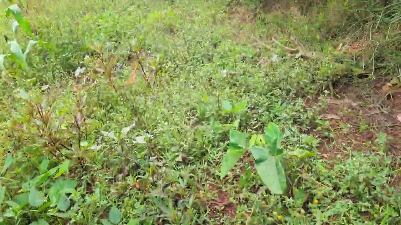 6M ndaguha iyonzu utureneza