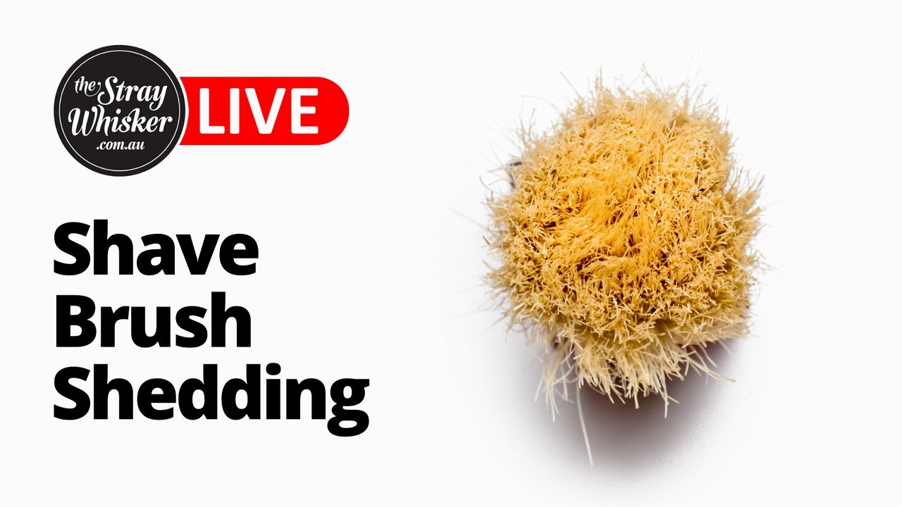 Shave Brush Shedding | Stray Whisker TV