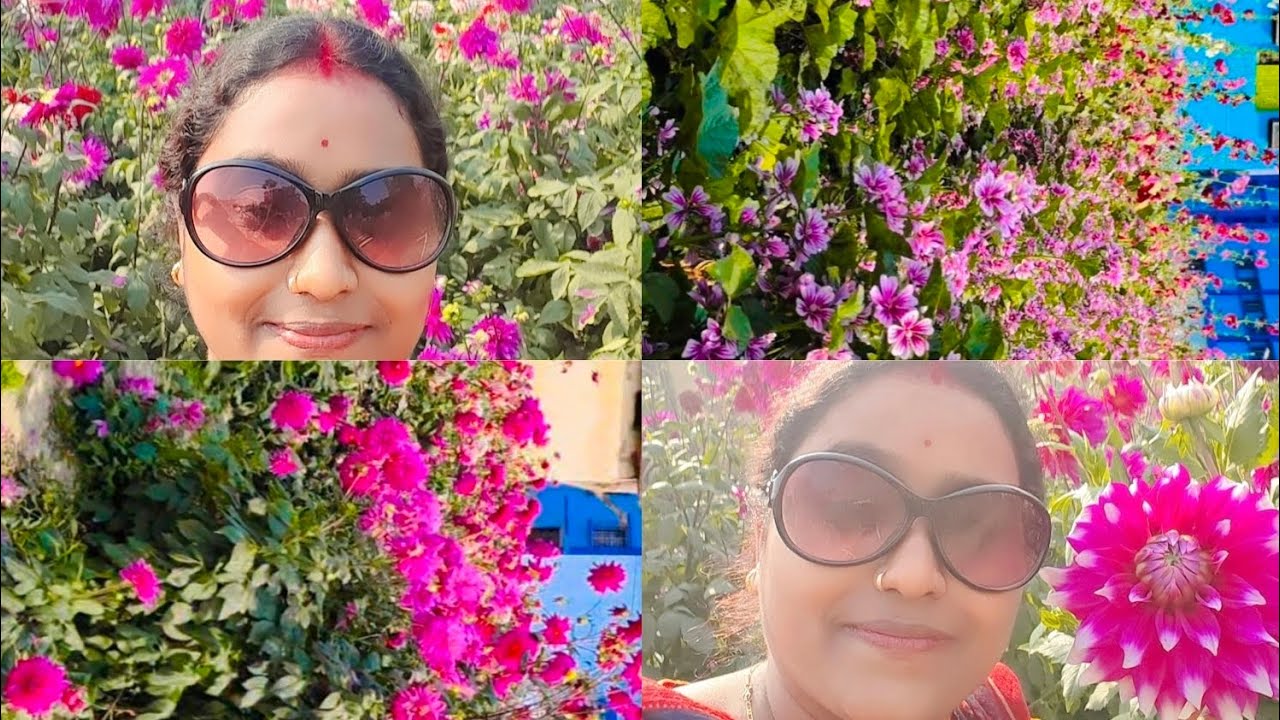 ডাক্তার দেখাতে এসে যে এত সুন্দর ফুলের বাগান দেখতে পাবো ভাবতেই পারিনি 🧿🌸🌹🌹🧿