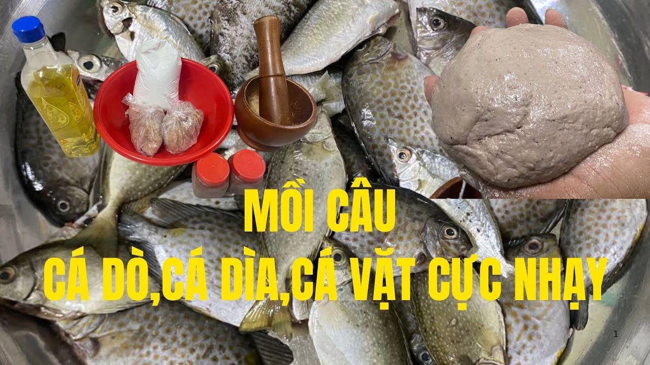 Mồi Câu Cá Dò Cá Dìa Và Cá Vặt Cực Nhạy | Đơn Giản Ai Cũng Làm Được #cauca #fishing #câucábiển